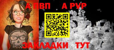 спиды Гусев