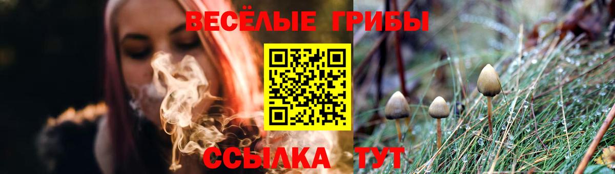 Галлюциногенные грибы мицелий  Вход с VPN  Наро-Фоминск  наркота  Галлюциногенные грибы ЛСД 